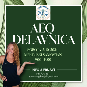 AEQ delavnica 1.jpg