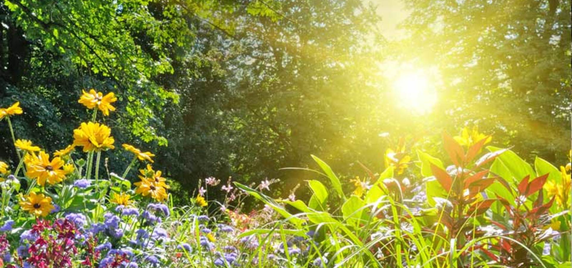 Ujeti trenutki v naravi: Čuječa fotografija v Arboretumu Volčji Potok