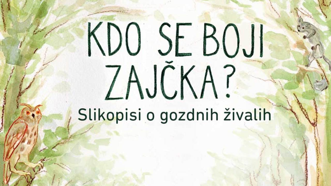 Kdo se boji zajčka? – Slikopisi o gozdnih živalih