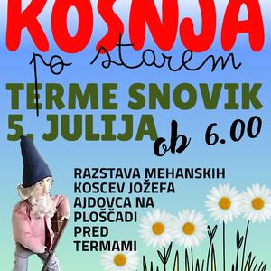 KOŠNJA 70x100 (20)-1.jpg