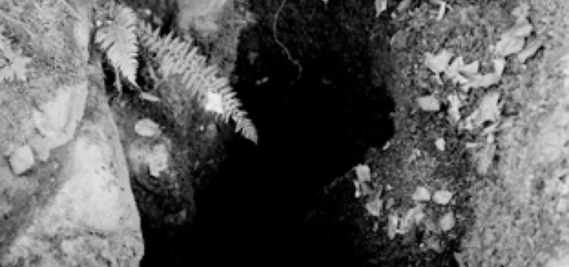 Odprtje fotografske razstave Jona Derganca