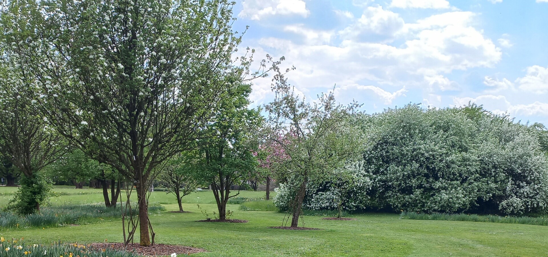 Zvočno-vokalna kopel na prostem