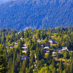 turistično naselje_foto Velika planina_1.jpg