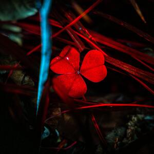 PWED0432-Enhanced-NR.jpg